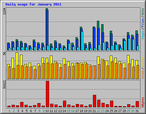Daily usage for January 2011