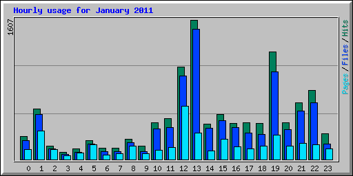 Hourly usage for January 2011