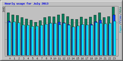 Hourly usage for July 2013