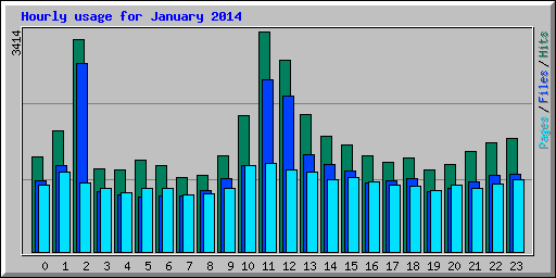 Hourly usage for January 2014