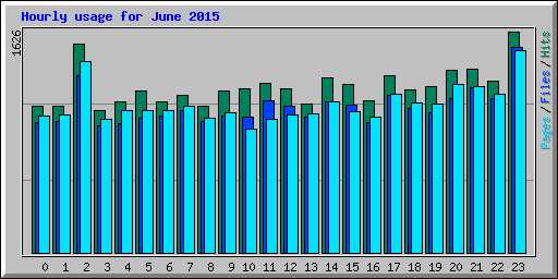Hourly usage for June 2015